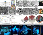 Liquid metal nano-gyroid stretchable transparent conductor for ultra-resilient optoelectronics and electroluminescence