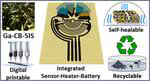 Gallium–Carbon: A Universal Composite for Sustainable 3D Printing of Integrated Sensor–Heater–Battery Systems in Wearable and Recyclable Electronics