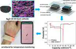 High-Performance Stretchable Gallium Battery for Wearable Electronics, Through Synthesis of Foam Electrodes