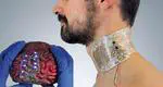 Soft & Printed Electronics